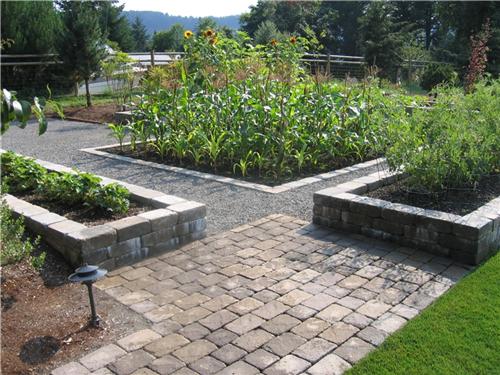 backyard-vegetable-garden-ideas-80_10 Ideje za dvorišni povrtnjak