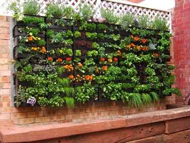 backyard-vegetable-garden-ideas-80_12 Ideje za dvorišni povrtnjak