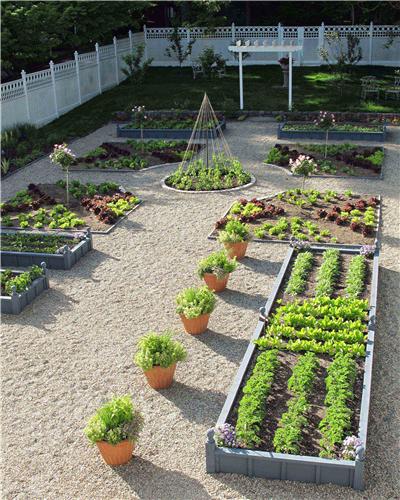 backyard-vegetable-garden-ideas-80_13 Ideje za dvorišni povrtnjak