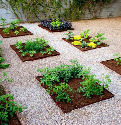backyard-vegetable-garden-ideas-80_16 Ideje za dvorišni povrtnjak