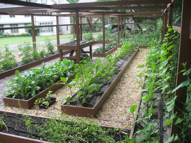 backyard-vegetable-garden-ideas-80_19 Ideje za dvorišni povrtnjak