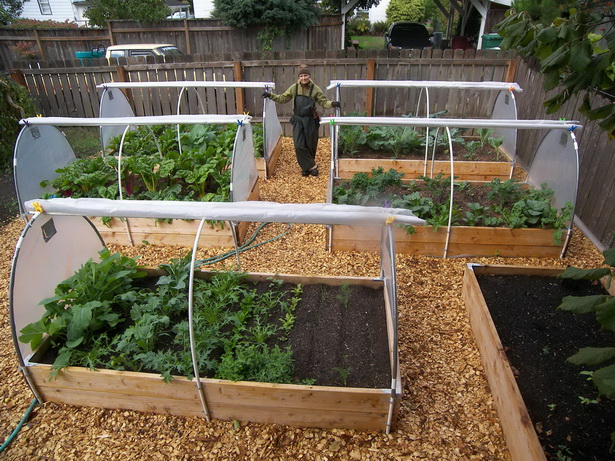 backyard-vegetable-garden-ideas-80_2 Ideje za dvorišni povrtnjak