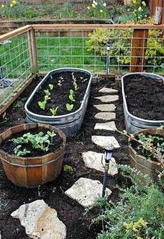 backyard-vegetable-garden-ideas-80_5 Ideje za dvorišni povrtnjak