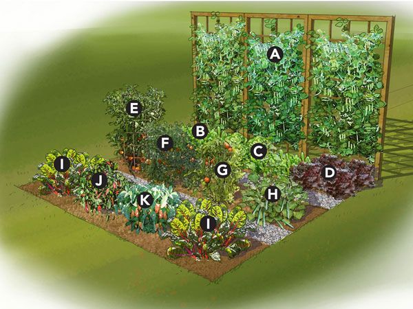 backyard-vegetable-garden-ideas-80_7 Ideje za dvorišni povrtnjak