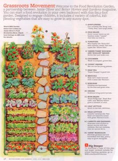 backyard-vegetable-garden-ideas-80_8 Ideje za dvorišni povrtnjak