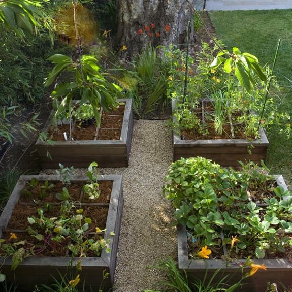 backyard-vegetable-garden-ideas-80_9 Ideje za dvorišni povrtnjak