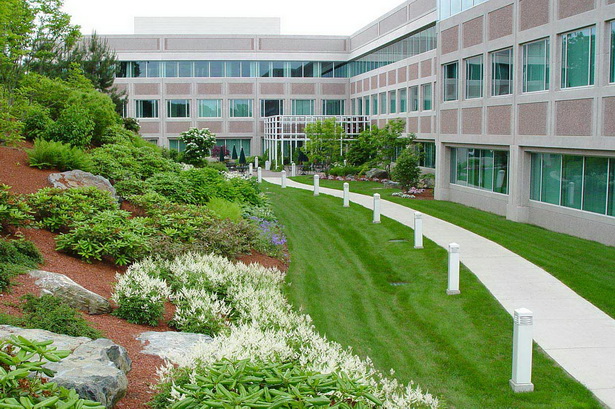 corporate-landscape-design-64 Korporativni krajobrazni dizajn
