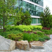 corporate-landscape-design-64_12 Korporativni krajobrazni dizajn