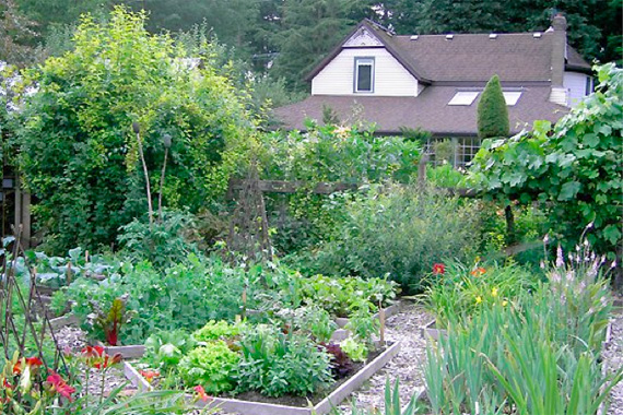 cottage-vegetable-garden-79_2 Vikendica povrtnjak
