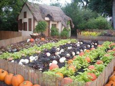 cottage-vegetable-garden-79_9 Vikendica povrtnjak