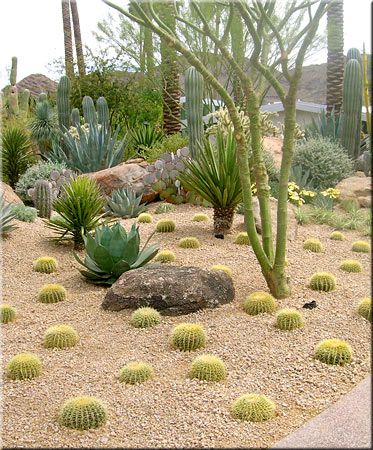 desert-landscape-design-ideas-95_20 Ideje za dizajn krajolika pustinje