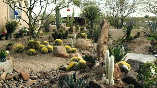 desert-landscape-design-ideas-95_5 Ideje za dizajn krajolika pustinje
