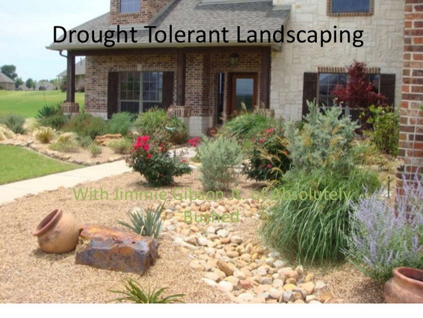 drought-landscape-design-79_10 Suho uređenje okoliša