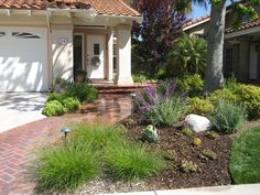 drought-landscape-design-79_12 Suho uređenje okoliša