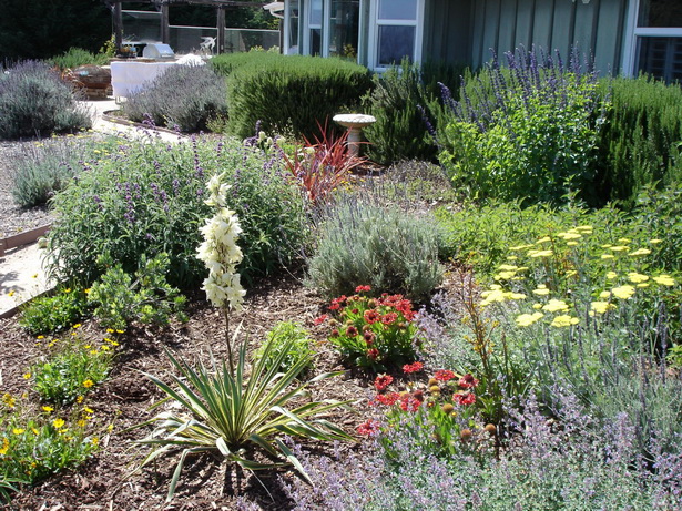 drought-landscape-design-79_16 Suho uređenje okoliša