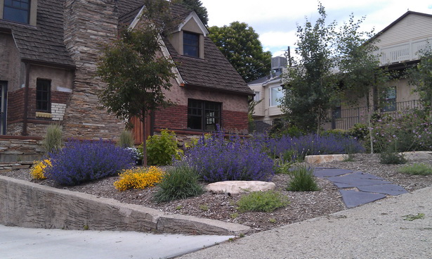 drought-landscape-design-79_17 Suho uređenje okoliša