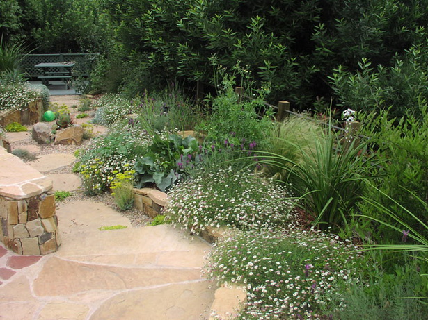 drought-landscape-design-79_7 Suho uređenje okoliša