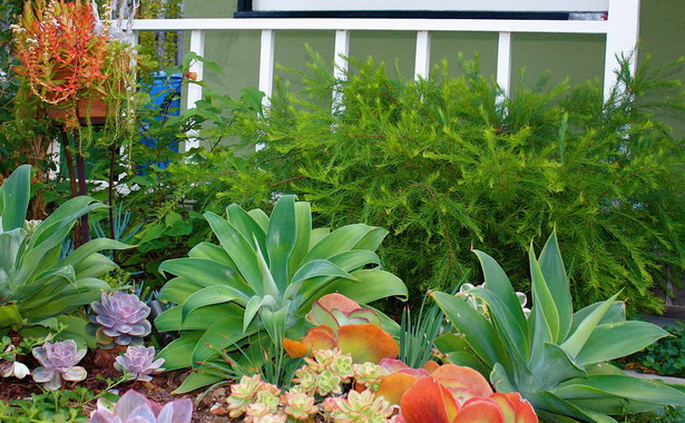 drought-landscape-design-79_8 Suho uređenje okoliša