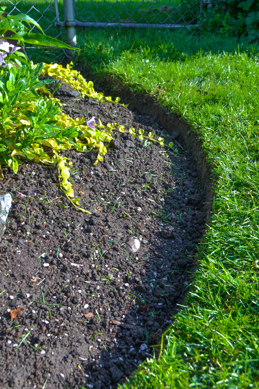 flower-bed-edger-33 Obrezivanje cvjetnjaka