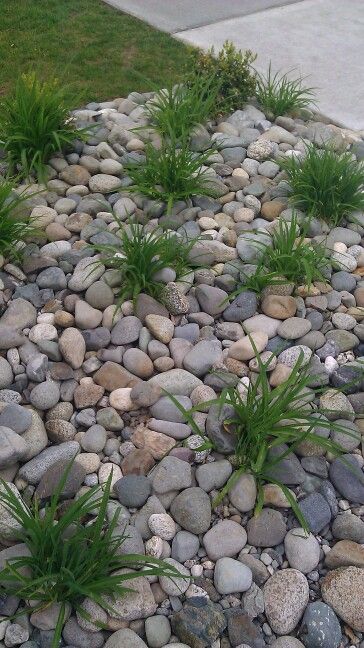 flower-beds-with-rocks-22_2 Cvjetni kreveti s kamenjem