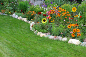 flower-beds-with-rocks-22_8 Cvjetni kreveti s kamenjem