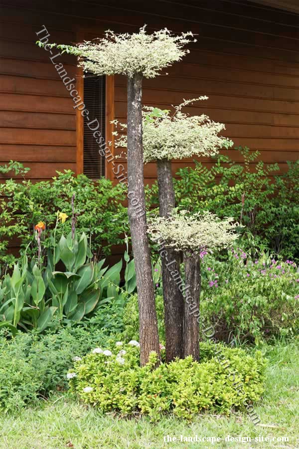 garden-decor-ideas-pictures-39_18 Ideje za uređenje vrta fotografije