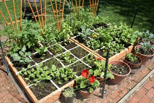 garden-ideas-vegetable-84 Ideje za vrt povrće