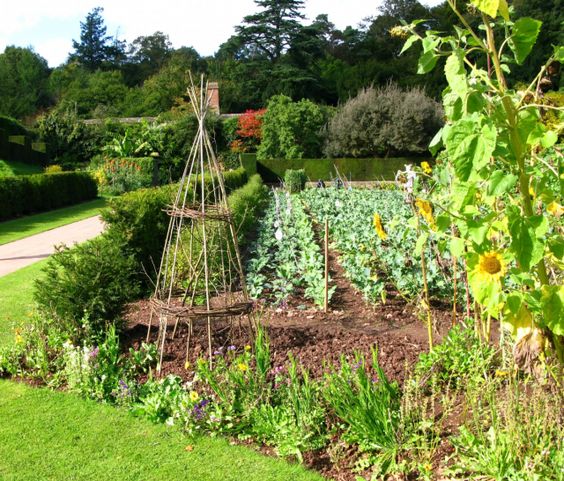 garden-ideas-vegetable-84_12 Ideje za vrt povrće