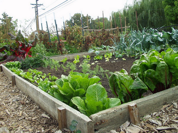 garden-ideas-vegetable-84_16 Ideje za vrt povrće