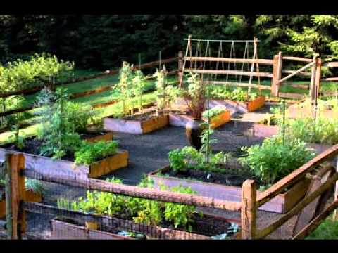 garden-ideas-vegetable-84_19 Ideje za vrt povrće