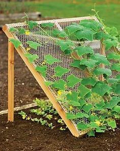 garden-ideas-vegetable-84_5 Ideje za vrt povrće