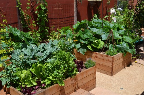 garden-ideas-vegetable-84_7 Ideje za vrt povrće