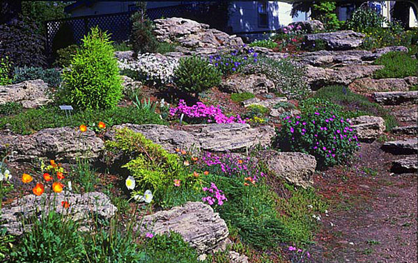 garden-with-rocks-31_9 Vrt s kamenjem