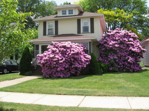 ideas-for-front-lawn-landscaping-99_17 Ideje za uređenje prednjeg travnjaka