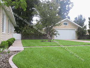 inexpensive-landscaping-ideas-90 Jeftine ideje za uređenje okoliša