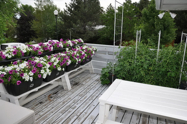 inexpensive-landscaping-ideas-90_10 Jeftine ideje za uređenje okoliša