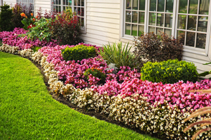 inexpensive-landscaping-ideas-90_13 Jeftine ideje za uređenje okoliša