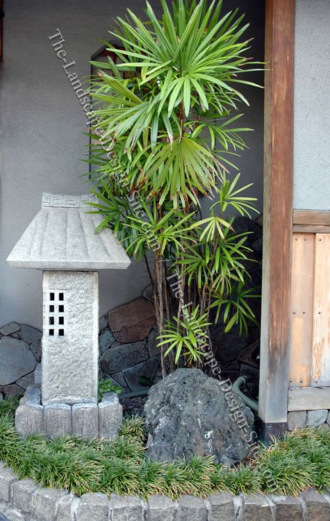 japanese-landscape-plants-03_15 Japanske krajobrazne biljke