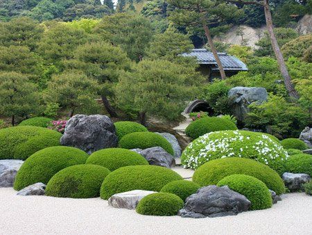 japanese-landscape-plants-03_9 Japanske krajobrazne biljke