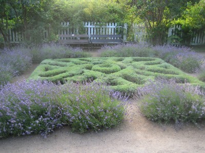 knot-garden-designs-78_13 Nodularne vrtne konstrukcije