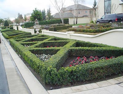 knot-garden-designs-78_17 Nodularne vrtne konstrukcije