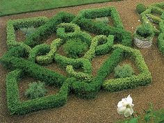 knot-garden-designs-78_6 Nodularne vrtne konstrukcije