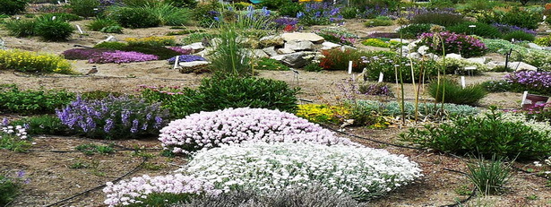 landscape-designer-phoenix-78_15 Dizajner krajolika Feniks