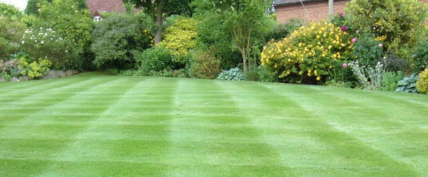 landscape-designs-for-large-backyards-85_11 Uređenje okoliša za velika dvorišta