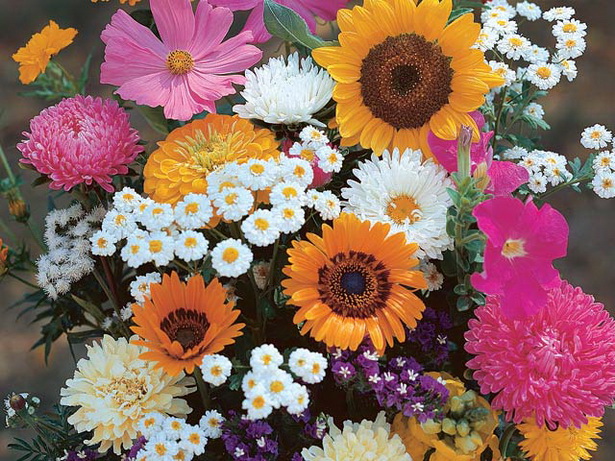 old-fashioned-flowers-for-garden-86 Staromodno cvijeće za vrt