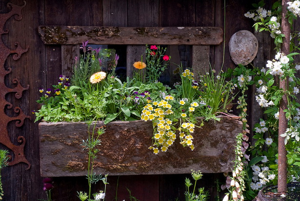 old-fashioned-flowers-for-garden-86_10 Staromodno cvijeće za vrt