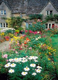 old-fashioned-flowers-for-garden-86_11 Staromodno cvijeće za vrt