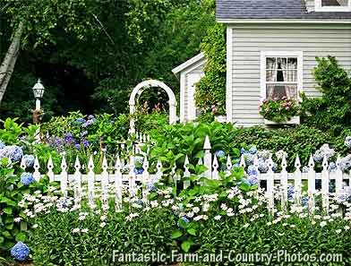 old-fashioned-flowers-for-garden-86_16 Staromodno cvijeće za vrt