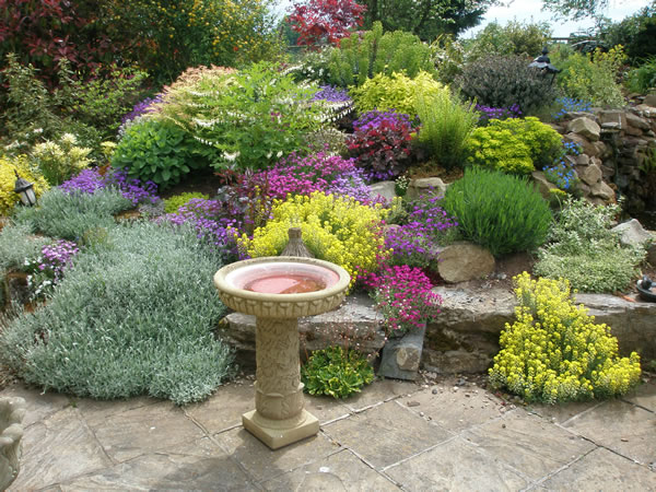 planting-ideas-for-small-gardens-08_11 Ideje za sadnju za male vrtove