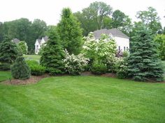 privacy-landscaping-ideas-57 Ideje za uređenje okoliša za privatnost